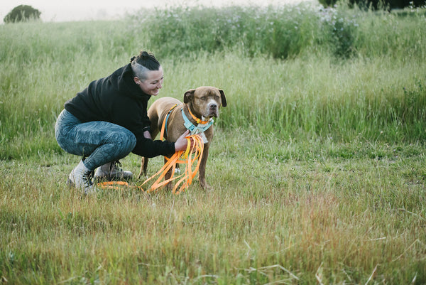 Our Best Tips for Walking a Large Dog Using a Long Line