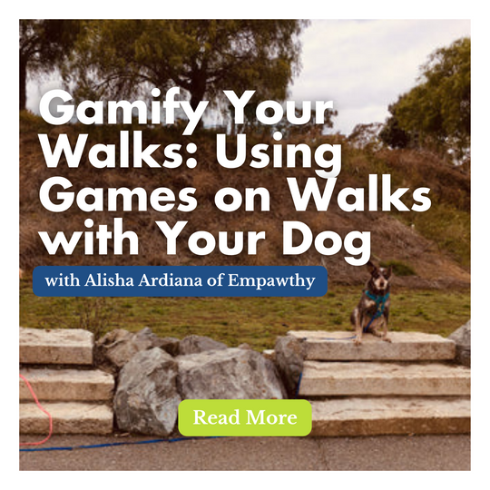 Gamify Your Walks: Using Games on Walks with Your Dog with Alisha Ardiana of Empawthy