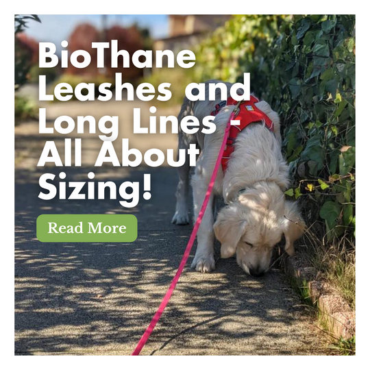 BioThane Leashes and Long Lines - All About Sizing!