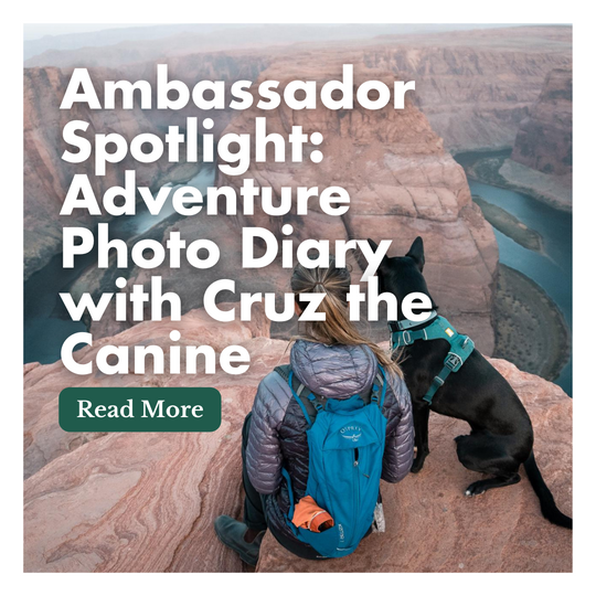 Ambassador Spotlight: Adventure Photo Diary with Cruz the Canine