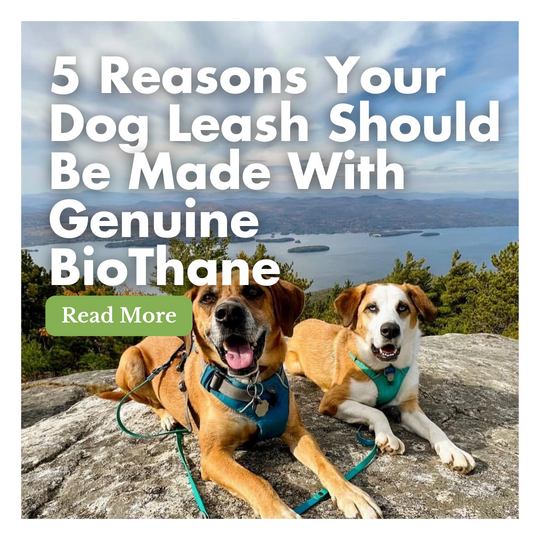5 Reasons Your Dog Leash Should Be Made With Genuine BioThane