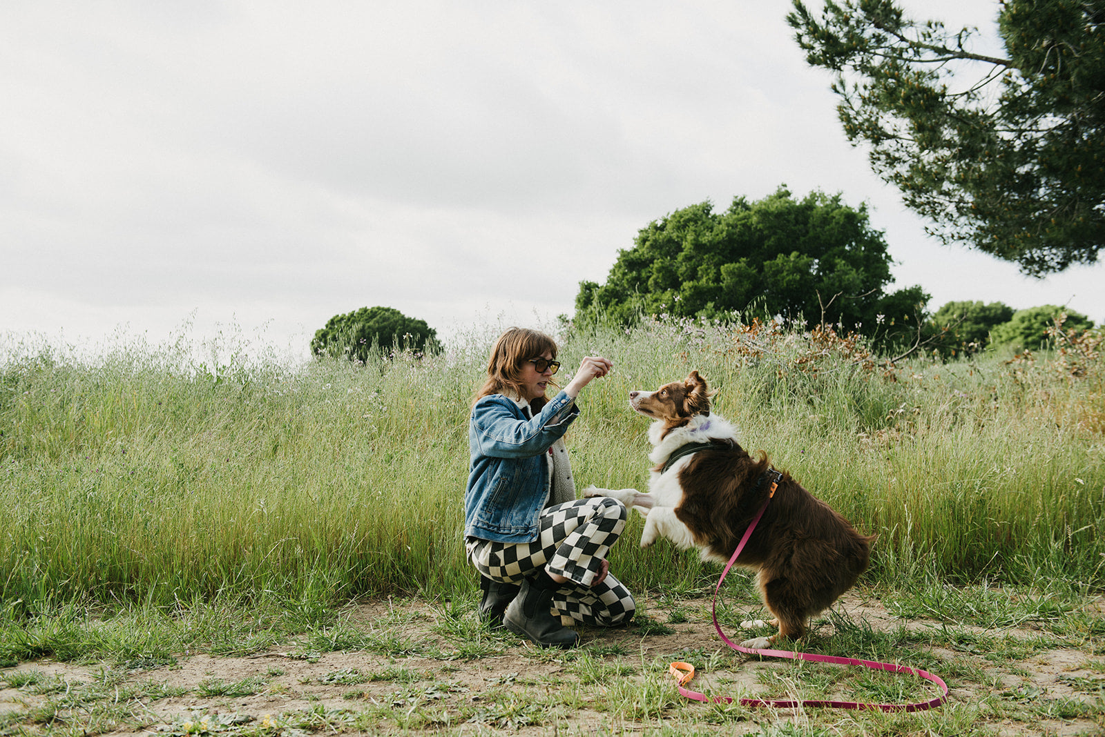 5 Dog Training Books That Changed My Life - High Tail Hikes