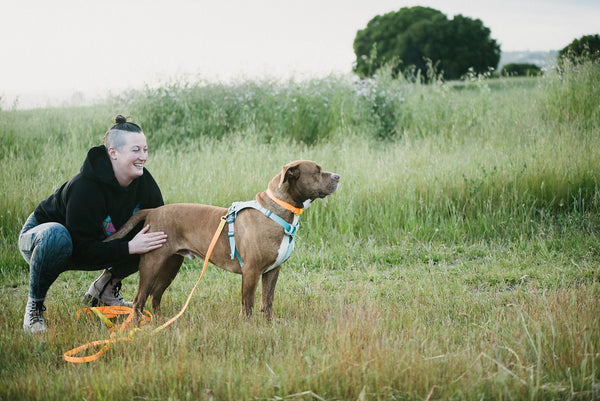 Incorporating Choice, Control, Predictability Into Our Walks With Our Dogs