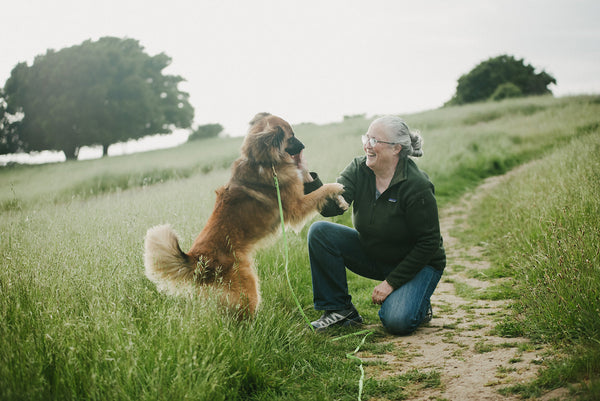 5 Unforgettable Dog Memoirs