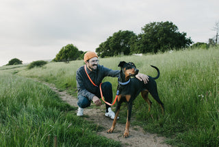 man kneeling next to a black and brown dog that is wearing a blue biothane collar and orange with blue hands free leash attached to the man they are in a field of tall grass