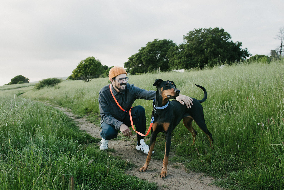man squatting next to a brown dog wearing a hands free waterproof leash and collar in a grassy field
