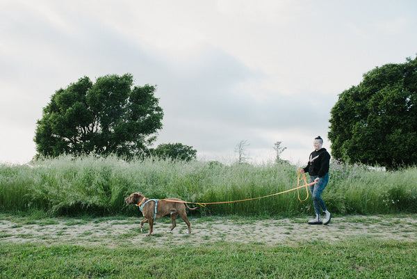 How to Build Your Custom BioThane Leash: BioThane Leash Customization Options