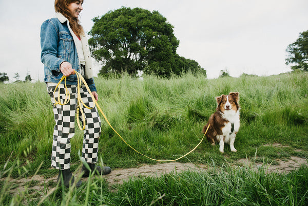 Thinking of Switching to a Longer Leash? Here's Why You Should Give it a Try.