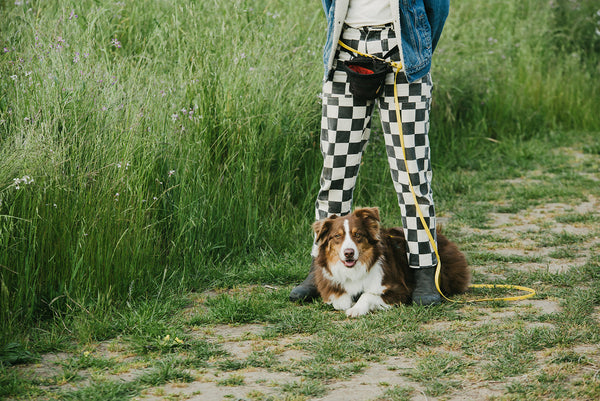 "Be Your Dog's Bodyguard": Trainer Spotlight with Alisha Ardiana of Empawthy