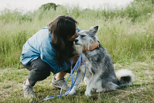 High Tail Hikes: Our Core Values