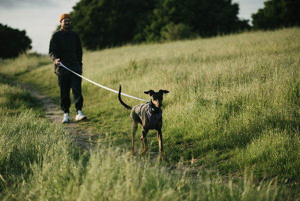 2020 Reflections and Looking Forward