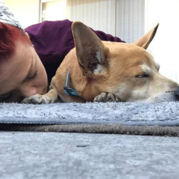woman in purple shirt laying face down next to a tan dog, they appear to both be taking a nap