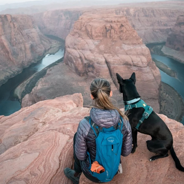 woman with a purple jacket and blue backpack, sitting next to a black dog wearing a teal biothane collar sitting atop a large mountain looking down at the canyon