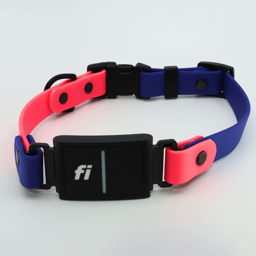dark blue and coral Biothane dog collar for the Fi Series 3 in the Sport Integrated Design