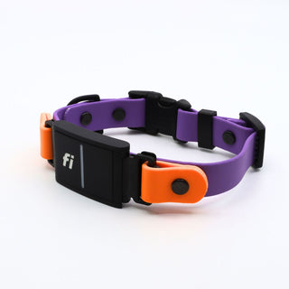Purple and poppy biothane dog collar for the Fi Series 3 in our sport layered design