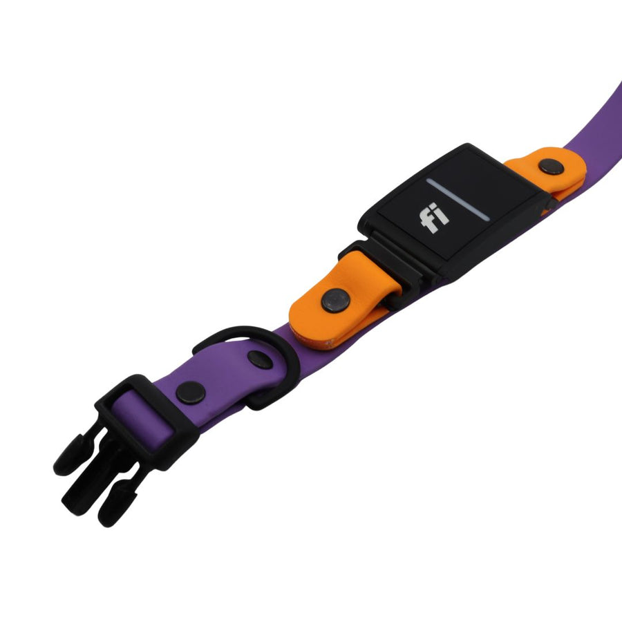 Purple and poppy biothane dog collar for the Fi Series 3 in our sport layered design 