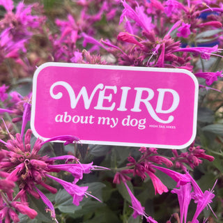 Weird About My Dog Sticker
