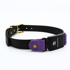 Purple and black biothane Fi Series 3 collar with brass hardware