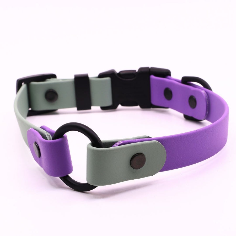 BioThane O Ring Collar - Sport (Quick Release Buckle)