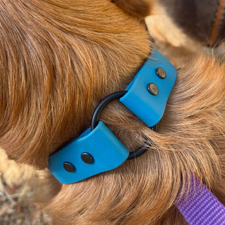 BioThane O Ring Collar - Sport (Quick Release Buckle)