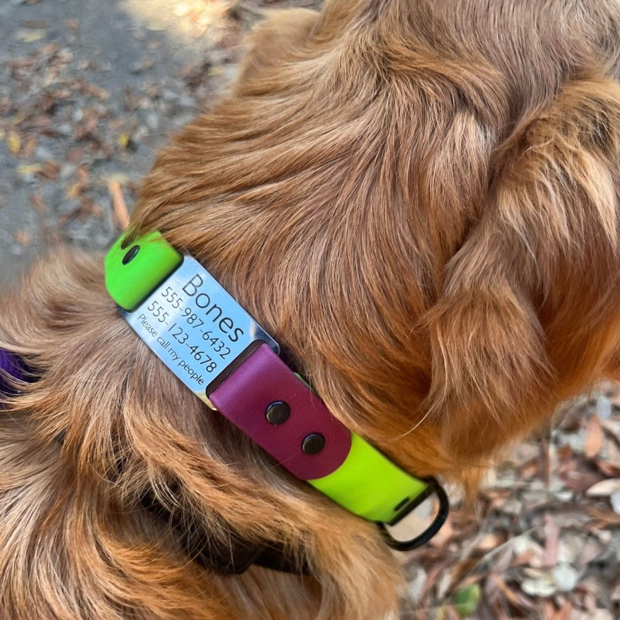 BioThane ID Tag Collar - Sport (Quick Release Buckle)