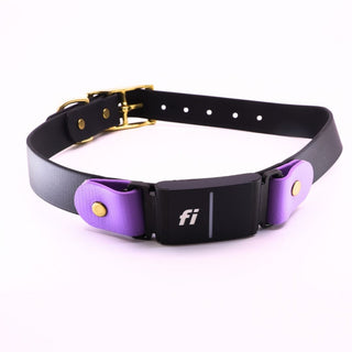 Pre Made Brass Fi Series 3 Layered Collar - 1" width - XL (fits 20" - 25") Black with Lavender Accents