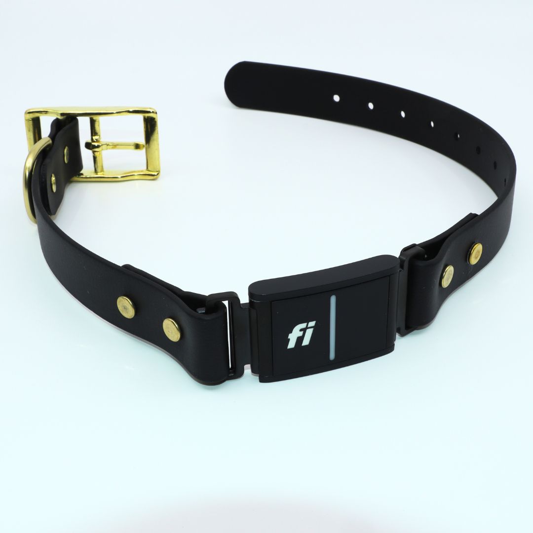 Fi Series 3 BioThane Collar Brass Integrated Design High Tail Hikes