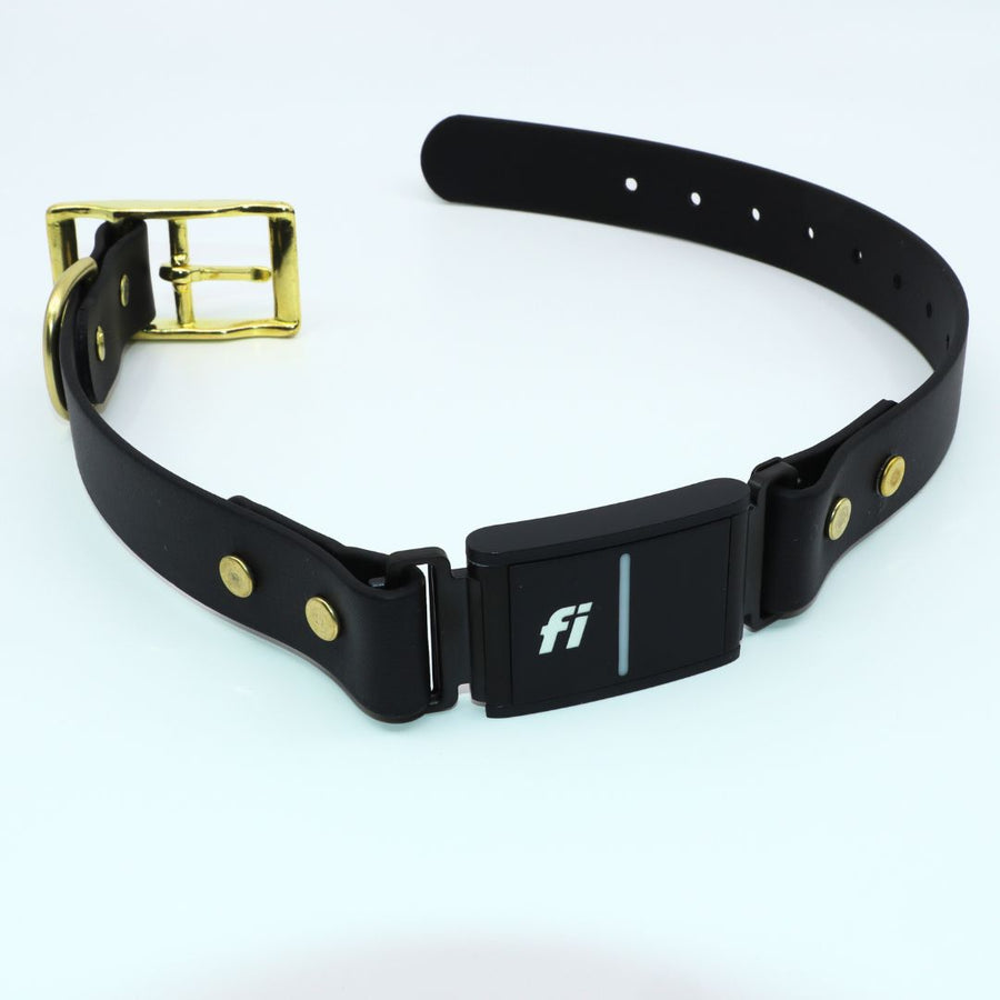 black biothane collar with brass hardward to fit the Fi Series 3