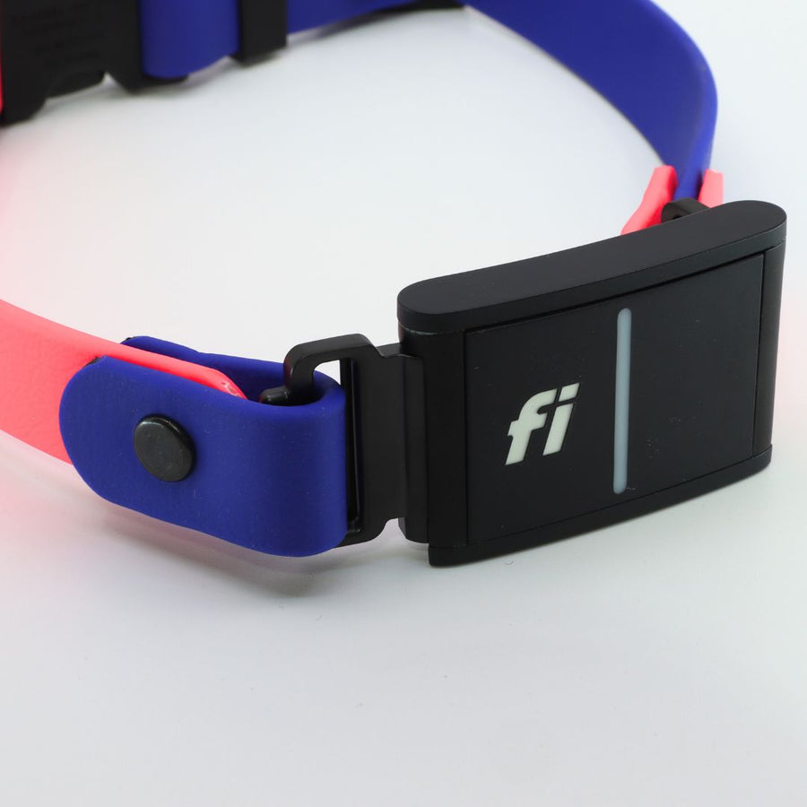 close up of the Fi Series 3 Biothane dog collar where the Fi fits