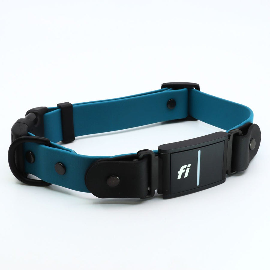 teal biothane dog collar for the Fi Series 3 in Sport Layered Design