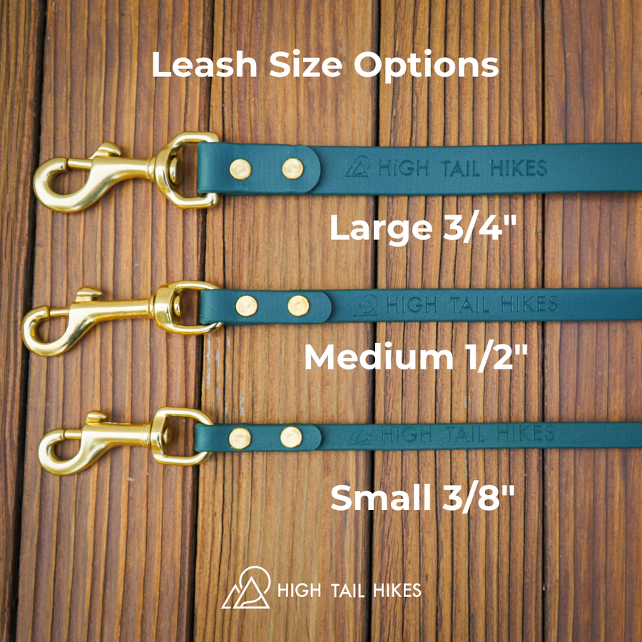 Brass Leashes + Long Lines - Medium Dogs (1/2" Width)