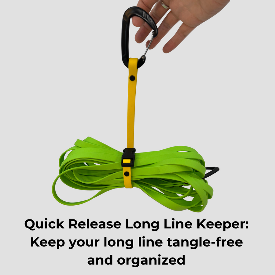 Sport Leashes + Long Lines - Small Dogs (3/8")