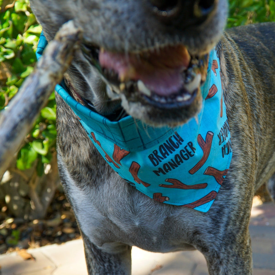Misty Made This Dog Bandana - Branch Manager