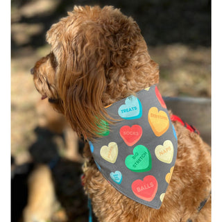 Misty Made This Dog Bandana - Candy Hearts