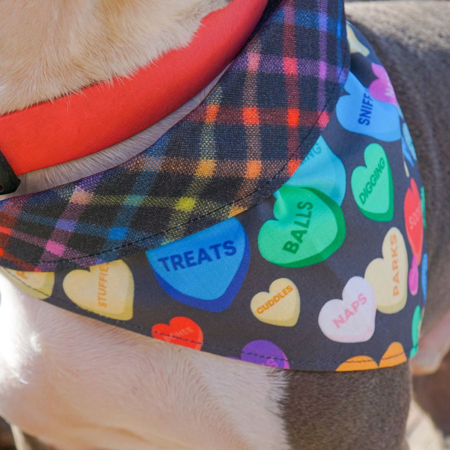 Misty Made This Dog Bandana - Candy Hearts