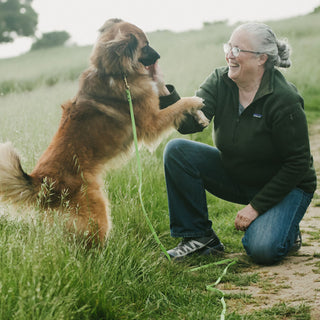 Woman kneeling on grass with a brown hairy dog wearing a bright green waterproof leash outdoors