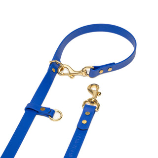 Blue biothane dog leash with brass hardware on a white background