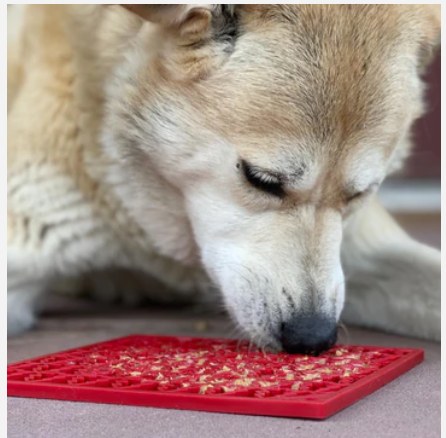 red enrichment lick mat for dogs with small trees with a light brown dog laying down licking the mat