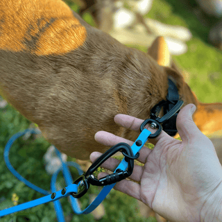 women's hand showing sport hardware attachments on biothane dog leash