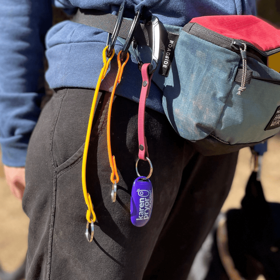 three sizes of biothane clicker straps attached to a persons belt bag - one attached to a clicker