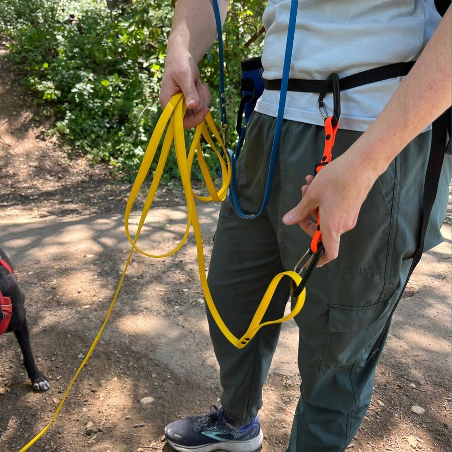 person wearing a belt with biothane waist to leash strap attached to the belt and dogs longline and holding the longline in his hand