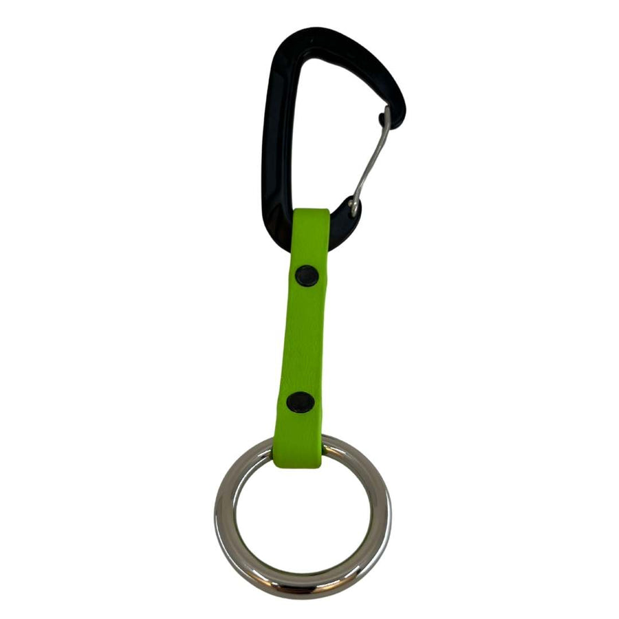 photo of green apple biothane mini dog leash organizer