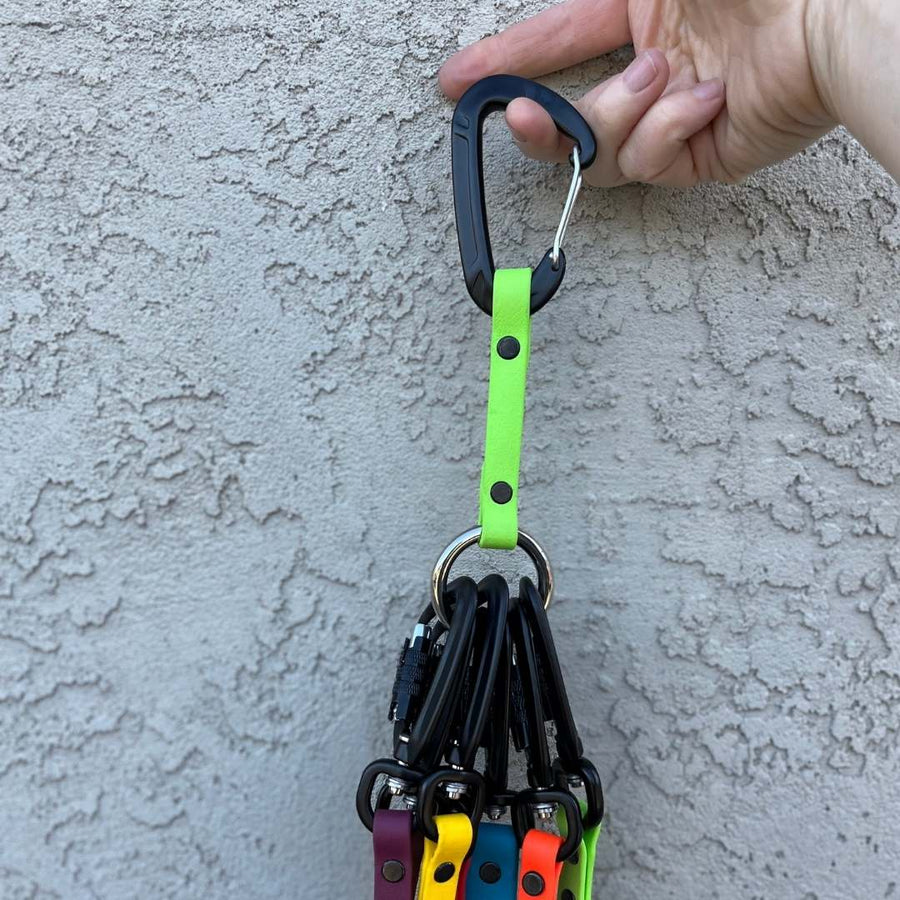 persons hand holding the green apple biothane mini leash organizer with several sport leashes attached