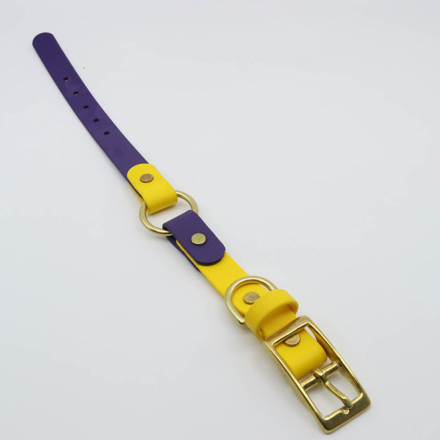 violet and goldenrod biothane dog collar with O-Ring and Brass hardware