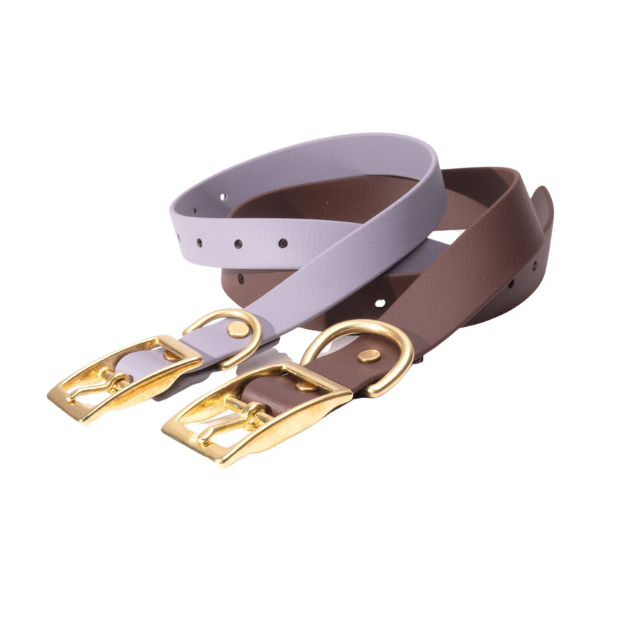 two biothane dog collars with brass hardware on white background
