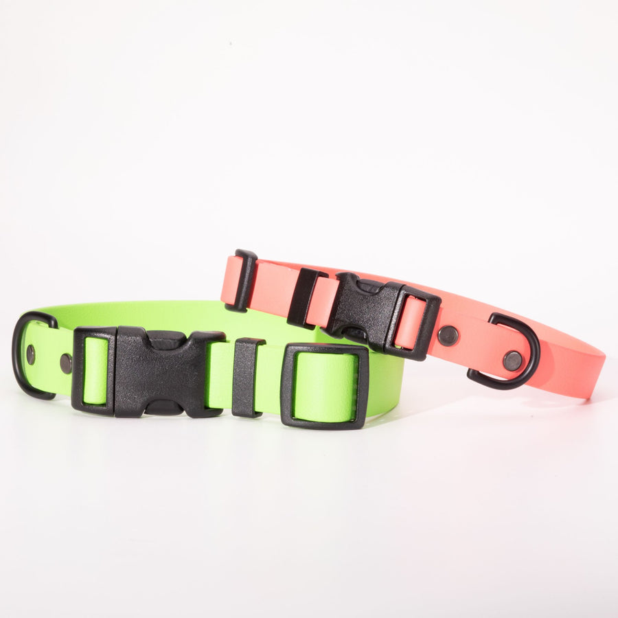 green and coral biothane dog collars on whitebackground with sport hardware