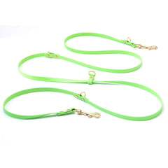 long dog leash in green color with brass hardware on white background