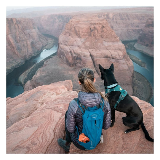 woman with a purple jacket and blue backpack, sitting next to a black dog wearing a teal biothane collar sitting atop a large mountain looking down at the canyon