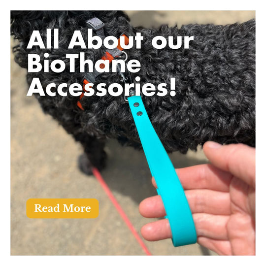 All About our BioThane Accessories