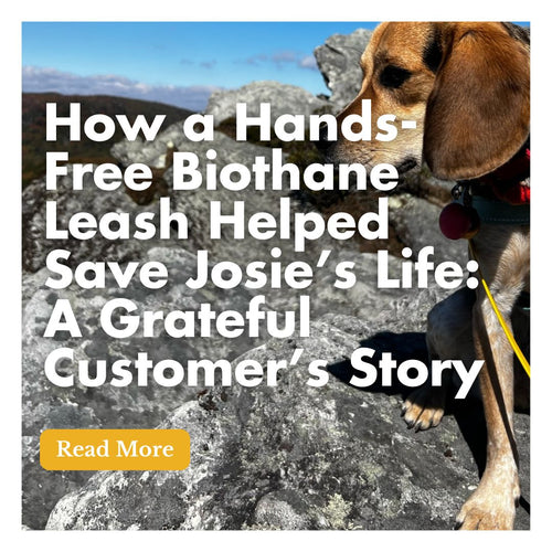 How a Hands-Free BioThane Leash Helped Save Josie’s Life: A Grateful Customer’s Story